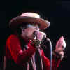 Photograph Courtesy Of Alan C Smith 'www.alancsmith.co.uk'